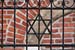 IMG_ (11266)